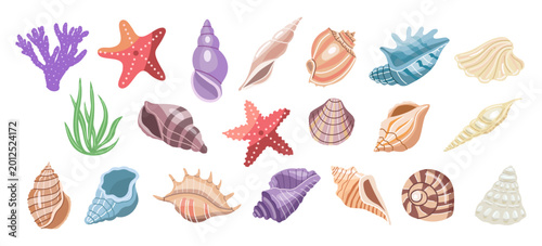 Cuadro en lienzo Tropical sea shell and coral collection in flat pastel style isolated marine vec