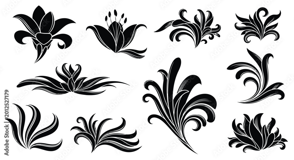 Fototapeta premium Adobe Illustrator Artwork