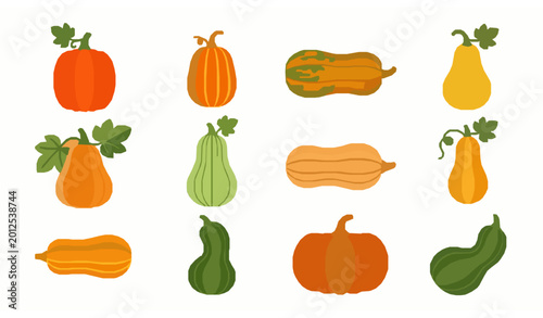 Fotografía Flat oblong pumpkin icon set with minimalist harvest squash vegetable vector col