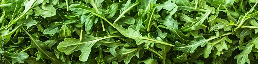 Fototapeta premium Fresh Arugula Leaves Beautifully Arranged on a Rustic Wooden Table for Gourmet Salad Inspiration