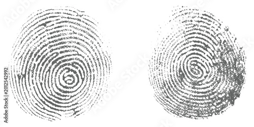 Obraz na płótnie Abstract grunge realistic human fingerprints side by side, black ink fingerprint marks on white background, forensic identification style, detailed ridge texture, minimal clean design