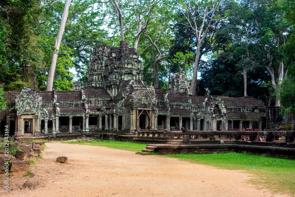 Obraz premium Ancient Ta Prohm Temple Ruins, Angkor Wat, Siem Reap, Cambodia