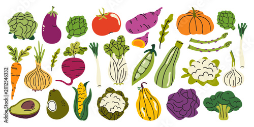 Large set of various fresh farm vegetables in cartoon flat style. Tomato, broccoli, cabbage, corn, onion, pumpkin. Healthy grocery and organic food concept
