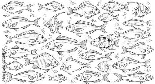 Fish hand-drawn set with detailed line art and various species featuring aquatic, marine life, underwater with illustration and sketch elements for