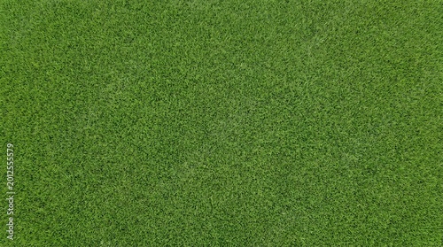 Vibrant Green Grass Texture Background Seamless Natural Lawn.