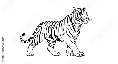 Canvas Print Black and White Tiger Illustration, Majestic Wild Cat Walking