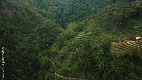 Sapa, Lao Cai Province, Vietnam - A Stunning View of Terraced Fields and Dense Greenery Nestled in the Mountains - Aerial Drone Shot