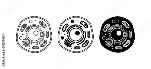 Bild auf Leinwand Human Cell Diagrams, Biological Structures, Science Icons Set: Microscopic Anato