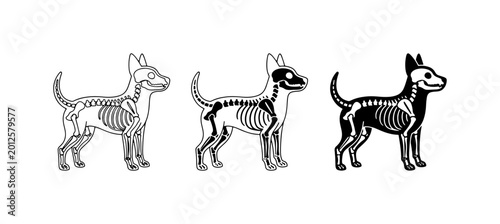 Fotografi Dog Skeleton Anatomy Vector Set, Canine Bone Structure Illustrations, Veterinary