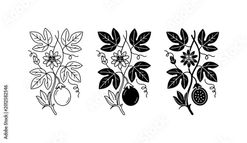 Bild auf Leinwand Art Nouveau Passion Flower Vector Illustrations, Botanical Art Nouveau Designs,