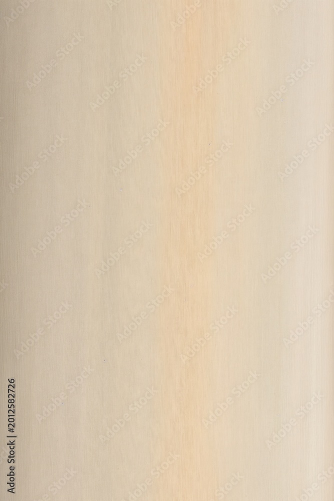Obraz premium Close up macro shot of smooth light beige wood grain texture. Subtle vertical lines create a soft, natural background pattern. Light warm color variation creates calm feel.