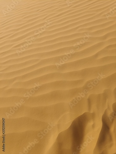 Close up of wind blowing over sand dune in the desert.