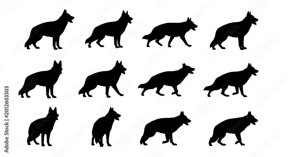 Obraz premium Wolves silhouette set with various poses and stances featuring black, animals, wild with nature and predators elements for forest, pack projects,