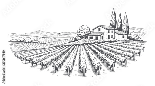 Bild auf Leinwand Hand drawn vineyard landscape with farmhouse and cypress trees