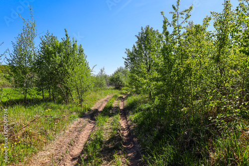 ​A dirt road with deep ruts runs through a picturesque countryside surrounded by young green trees and lush spring grass.