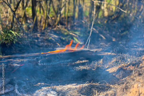 A burning wooden log amidst ash and smoke illustrates the aftermath of a wildfire or controlled burning. Flames engulf the charred wood against a backdrop of dry vegetation,