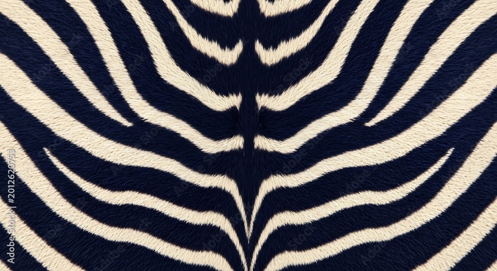 seamless zebra fur pattern with stripes in deep navy and ivory