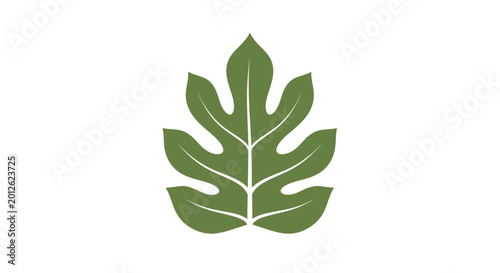 Billede på lærred Green leaf with deep lobes.