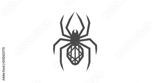 Tableau sur toile Black widow spider closeup view.
