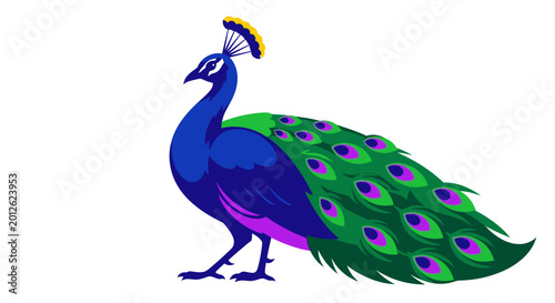 Canvas Print Vibrant Peacock Displaying Colorful Plumage Feathers.