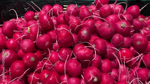 Fresh Red Radishes in Green Crate at Market