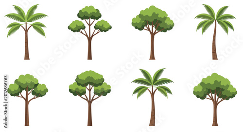 Foto Collection of diverse vector cartoon trees and palm trees isolated on white