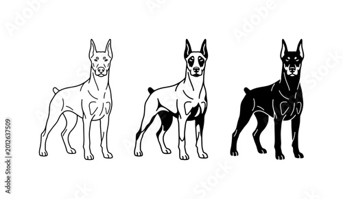 Fotografie Doberman Pinscher Dog Vector Icons, Silhouette and Outline Illustrations for Pet