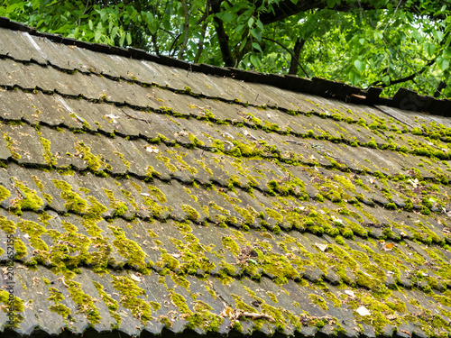 Cuadro en lienzo Old moss covered roof texture in Sighisoara Romania