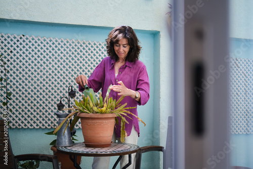 Tableau sur toile general view of Senior woman watering plant on sunny terrace