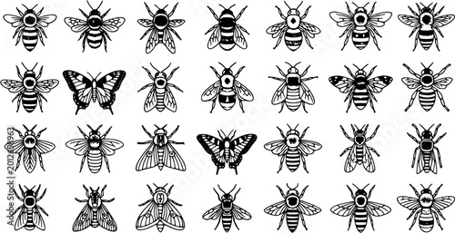 Tableau sur toile Entomology Nature Black and White Line Art Icon Set: Diverse Flying Insects, Bee