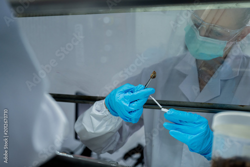 Foto Scientist conducts experiment in lab with samples while wearing protective gear
