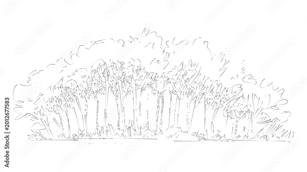 Fototapeta premium Hand drawn ink sketch of forest trees silhouette isolated on transparent background file.