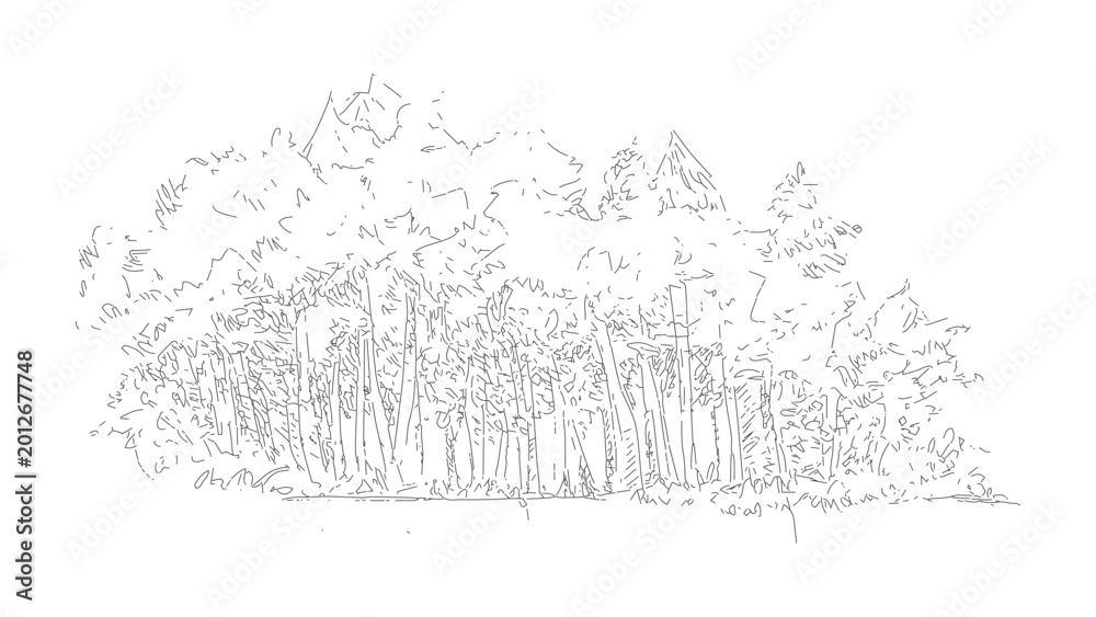 Obraz premium Artistic hand drawn sketch of forest landscape isolated on transparent background element.