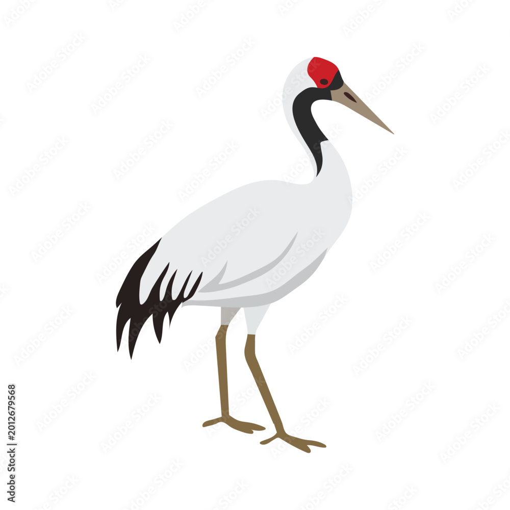 Fototapeta premium Illustration of a redcrowned crane