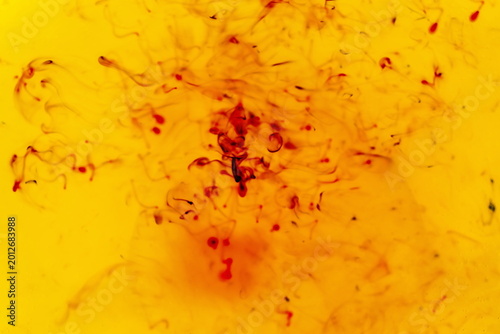 Photos Texture astratta con sfumature di colori all'anilina