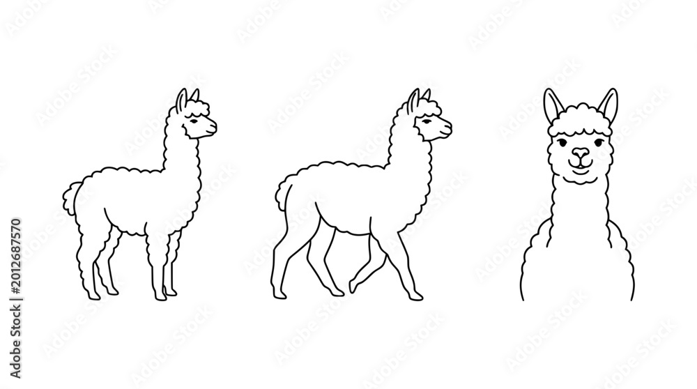 Naklejka premium A charming line art depiction of a llama, showcasing its unique features with minimalist design elements for artistic versatility and creative expression.