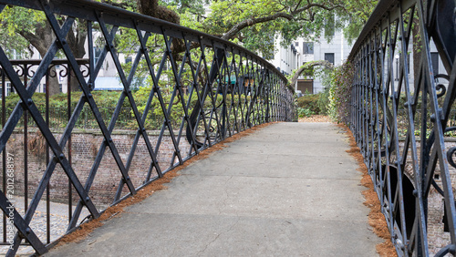 Pedestrian Bridge with Iron Railings in Urban Park Setting