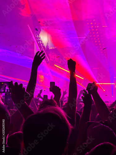 vibrant crowd silhouette under neon lights at live music concert