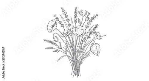 Botanical illustration of wildflowers bouquet.