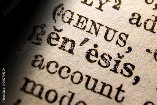 Konstfotografi Word genesis on dictionary page, macro close up