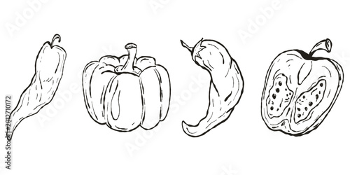 Foto Chili and Bell Pepper Sketch, Hand Drawn Ink Doodle, Spicy Vegetable Vector Illu