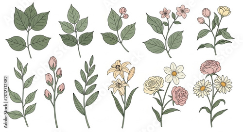 Foto Variety of Flowering Plant Stems.