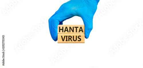 Hantavirus medical words symbol. Concept words Hantavirus on beautiful wooden blocks. Beautiful white background. Doctor hand. Blue glove. Medical Hantavirus concept. Copy space.