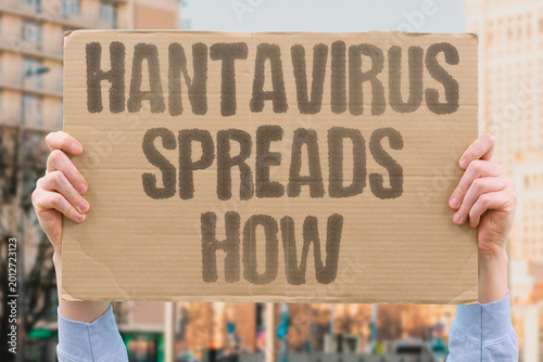Cuadro en lienzo "Hantavirus Spreads How" Understanding airborne rodent excretion particles explains hantavirus's primary infection pathway