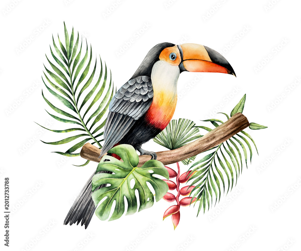 Fototapeta premium Toco toucan sits on a branch in the leaves of a palm tree, monstera and heliconia flower. Watercolor hand drawn bird, isolated illustration on transparent background. Perfect for tropical design