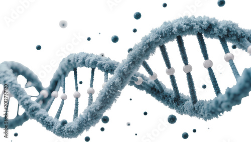 Textured blue DNA helix with white spheres, isolated on transparent background