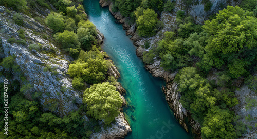 Aerial view of emerald river winding through rocky forest canyon; vivid natural style, symbolizing purity and wilderness, ideal for travel ads, eco branding, nature backgrounds and outdoor themes