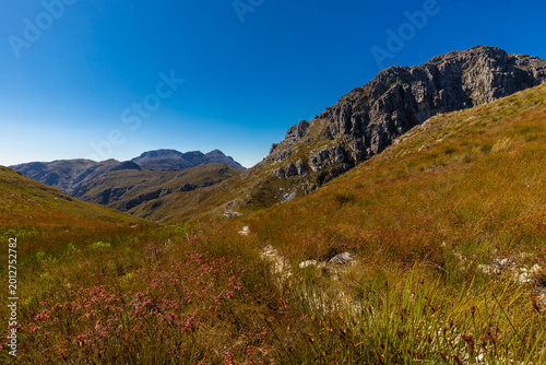 An amazing view on a perfect day over the Jonkershoek Nature Reserve located close to Stellenbosch in South Africa and home to the Jonkershoek Mountains and the impressiv valley. The reserve includes 