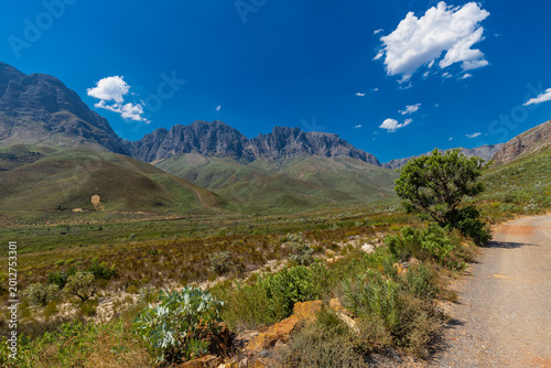 An amazing view on a perfect day over the Jonkershoek Nature Reserve located close to Stellenbosch in South Africa and home to the Jonkershoek Mountains and the impressiv valley. The reserve includes 