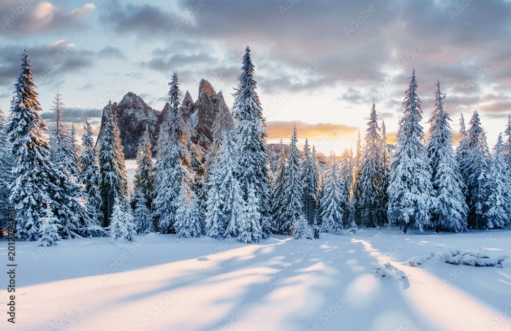 Fototapeta premium Bright Christmas panorama. Unbelievable morning view of Alpine Dolomites mountains with fresh snow covered fir trees. Sunny outdoor scene of mountain valley. Beauty of nature concept background.